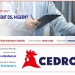 Referent ds. Higieny w Ujazdówku - ogłoszenia 2371858 | Rypin-cry.pl