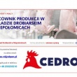 Pracownik produkcji w Zakładzie Drobiarskim w Niepołomicach - ogłoszenia 2371874 | Rypin-cry.pl