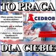 Lider produkcji (K/M)  Kutno - ogłoszenia 2544161 | Rypin-cry.pl