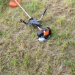 Nowa spalinowa kosa do trawy i różne chaszcze - ogłoszenia 2369391 | Temat Szczecinecki Temat.net