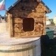 Buda dla psa - ogłoszenia 2394838 | myLomza.pl