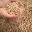 SPRZEDAM ŚCIÓŁKĘ DLA DROBIU - PELLET ZE SŁOMY - ogłoszenia 2450985 | myLomza.pl