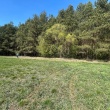 Sprzedam las 6037m Wlochowka gmina Wizna - ogłoszenia 2499595 | myLomza.pl
