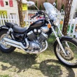 Yamaha Virago XV535 *7400zl do negocjacji - ogłoszenia 2530286 | myLomza.pl