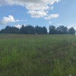 Sprzedam tanio 4 dzialki budowlane z warunkami zabudowy 11 arów - ogłoszenia 2531131 | myLomza.pl