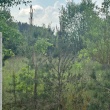 Sprzedam 2 działki budowlane - ogłoszenia 2533303 | myLomza.pl