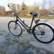Sprzedam niemiecką damkę retro - ogłoszenia 2537140 | myLomza.pl