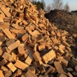 Sprzedam drzewo opałowe - 135 zł/metr - ogłoszenia 2540153 | myLomza.pl