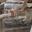 Silnik kubota, silnik perkins 3 i 4 cylindrowy, smarownica pneumatyczna  - ogłoszenia 2541407 | myLomza.pl