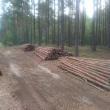 Stempe budowlane nowe  - ogłoszenia 2541530 | myLomza.pl