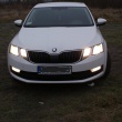 skoda octavia 2019 - ogłoszenia 2546817 | myLomza.pl