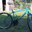 Sprzedam - ogłoszenia 2546850 | myLomza.pl