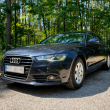 Audi A6 Limousine 2.0 TDI - ogłoszenia 2550292 | myLomza.pl