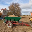 rozsiewacz do wapna piast - ogłoszenia 2551122 | myLomza.pl