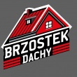 Dekarz dachy dekarskie - ogłoszenia 2552288 | myLomza.pl