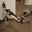 Rower  - ogłoszenia 2552864 | myLomza.pl