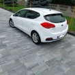 Kia ceed - ogłoszenia 2554762 | myLomza.pl