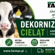 Dekornizacja Cieląt (usuwanie zalążków rogów u cieląt) - ogłoszenia 2555084 | myLomza.pl