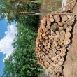 Drewno opałowe sosna - ogłoszenia 2365389 | pultusk24.pl