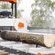 Tartak objazdowy - obwoźny - ogłoszenia 2376922 | pultusk24.pl