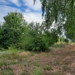 Sprzedam dwie działki rolne w Maciejowicach - ogłoszenia 2540929 | eGarwolin.pl