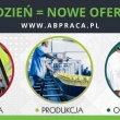 Pracownik / Pracowniczka produkcji - uprawa pieczarek (M/K) - ogłoszenia 2538429 | inowroclaw.info.pl