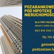 SKUTECZNE FINANSOWANIE POD ZASTAW NIERUCHOMOSCI  - ogłoszenia 2540226 | inowroclaw.info.pl