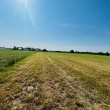 Działka 4017m2, ul. Wądołkowska TYLKO 149 zł/m2 - ogłoszenia 1370523 | Zambrow.org