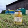Miód wielokwiatowy - ogłoszenia 2255014 | Zambrow.org