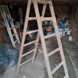 Drabina drewniana - ogłoszenia 2361075 | Zambrow.org