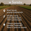 Działka rolna 7137m2 - ogłoszenia 2363767 | Zambrow.org