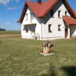 Wyjątkowa oferta –  działka w malowniczej okolicy - ogłoszenia 2368957 | Zambrow.org