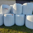Bele lucerny  - ogłoszenia 2361302 | Zambrow.org