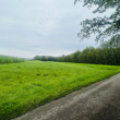 Urokliwa działka 7032m2 w tym 1730m2 prywatnego lasu w Grabówce; gm. Zambrów - ogłoszenia 2373959 | Zambrow.org