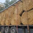 Sprzedam Bele słomy 130-150 - ogłoszenia 2380889 | Zambrow.org