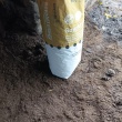 Ogłoszenie: Sprzedam obornik koński