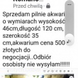 Akwarium z ozdobami. Wymiary długość 120cm, szerokość 35cm, wysokość 46cm  - ogłoszenia 2389835 | Zambrow.org
