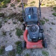 Kosiarka  - ogłoszenia 2487980 | Zambrow.org
