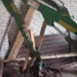 Sprzedam TROLL T274 350 - ogłoszenia 2529327 | Zambrow.org
