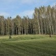 Koszenie działek ogrodów  - ogłoszenia 2529612 | Zambrow.org