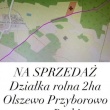 Działka rolna 2 ha w g. Rutki; Olszewo-Przyborowo - ogłoszenia 2529989 | Zambrow.org