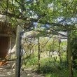 Działka ROD Pod Długoborzem - ogłoszenia 2538430 | Zambrow.org