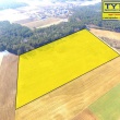 Na sprzedaż działka o powierzchni 10,7444 ha – obręb Gołasze-Dąb, gm. Kulesze Kościelne - ogłoszenia 2544302 | Zambrow.org