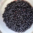 Sprzedam jagody 25 zł za litr  - ogłoszenia 2548891 | Zambrow.org