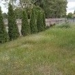 Sprzedam  działkę  z budynkiem gospodarczym - ogłoszenia 2554707 | Zambrow.org
