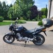 sprzedam Honda CBF500 rok 2005 - ogłoszenia 2555616 | Zambrow.org