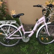 Rower młodzieżowy Romet Panda koła 24 " - ogłoszenia 2555687 | Zambrow.org