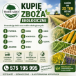 SKUP ZBOŻA  - ogłoszenia 2549670 | kurierpodlaski.pl
