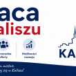 Mechanik Pojazdów Samochodowych (Kobieta / Mężczyzna). - ogłoszenia 2540907 | zyciekalisza.pl