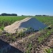 Wapno nawozowe luzem  - ogłoszenia 2553214 | zyciekalisza.pl